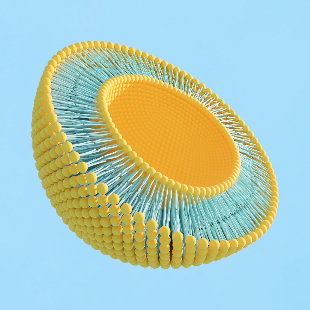 Trockene Liposomen in Pulverform unter dem Mikroskop