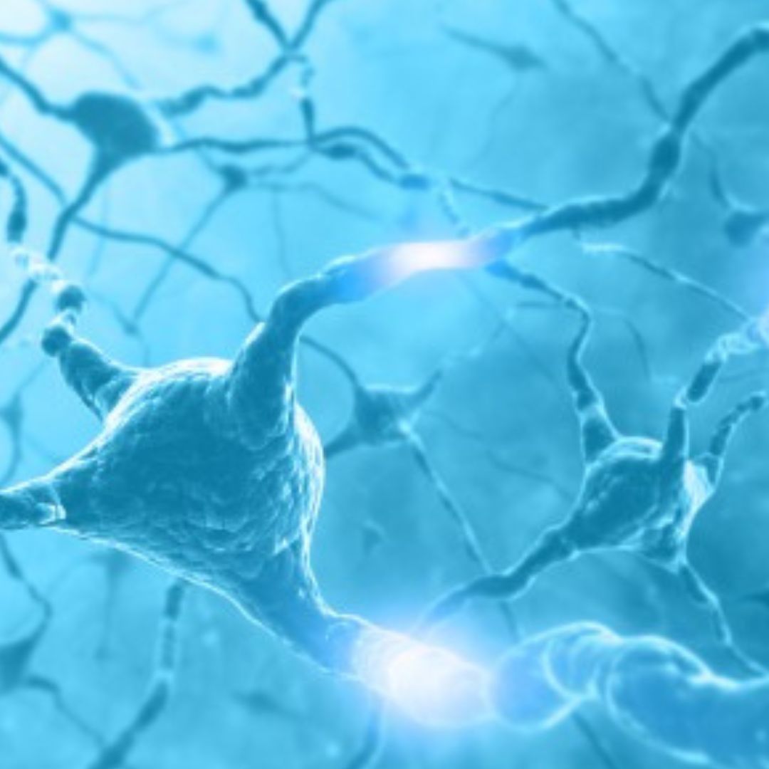 Mikroskopische Darstellung von Gehirnzellen mit Amyloid-Plaques – Studie zu Lithium und Alzheimer an der Harvard Universität